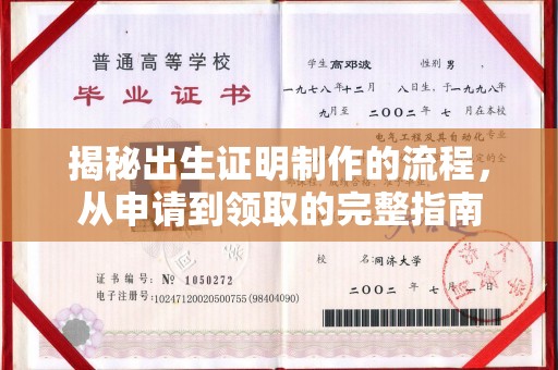 里港揭秘出生证明制作的流程，从申请到领取的完整指南